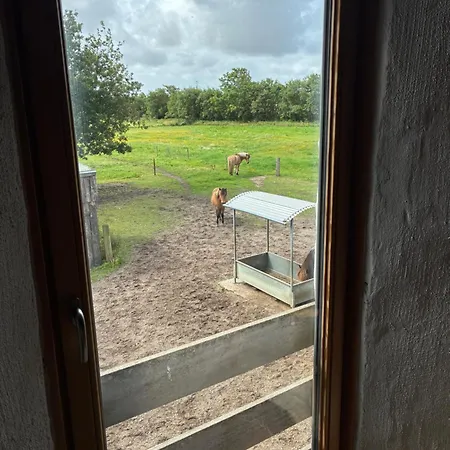 Gasthof Ingridsminde -